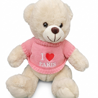 Paris Souvenir Plush Teddy Bear (Assorted Outfits)